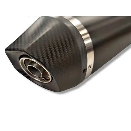 Silenziatore Malossi Maxi Wild Lion black con fondello in carbonio e per utilizzo collettori originali maxi scooter Kymco AK 550 euro 5 prodotti dal 2021 in poi (SBA1), ricambio 3217934