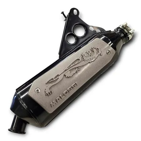 327261 Marmitta Malossi wild lion per scooter