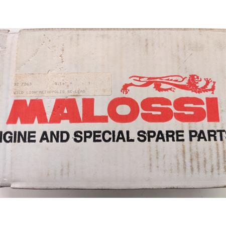 Marmitta wild lion per Peugeot metropolis Malossi, ricambio 327263