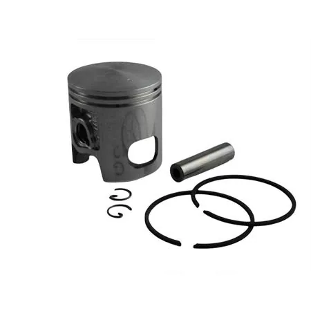 Pistone diametro 47 spinotto 10 mm segmento 2 rettangolare Malossi, ricambio 346172