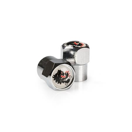 2 cappucci valvola camera d'aria bianchi, ricambio 4213415W0