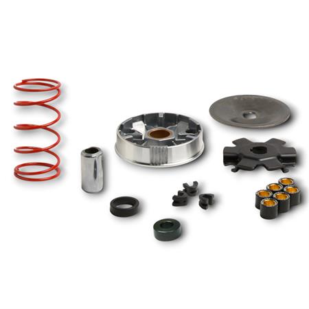  Variatore Malossi Multivar MHR Over Range 5118535 per Piaggio Ciao, Si, Boxer, Bravo, Grillo, CBA - Ricambio per il Kit 6119262