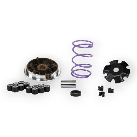 Variatore Malossi multivar Piaggio scooter mhr, ricambio 518648