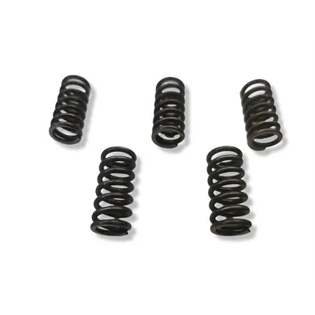 Serie dischi frizione Malossi racing per motori Derbi EBS050, EBD050, D50B0 e D50B1 completo di molle rinforzate, ideale per motori elaborati, ricambio 5216539