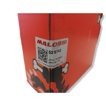 Maxi fly system (clutch bell   160), ricambio 5218743