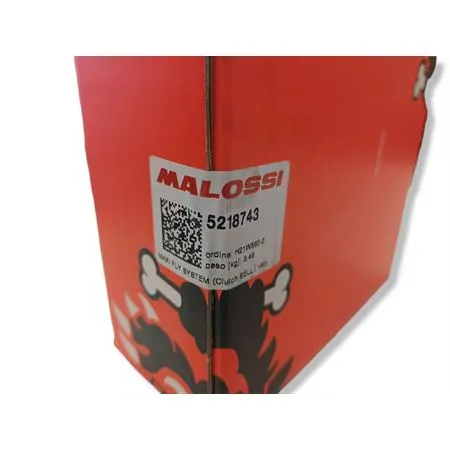 Maxi fly system (clutch bell   160), ricambio 5218743