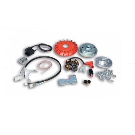 Accensione Malossi VESPower ad anticipo fisso per Piaggio Vespa 125 Primavera-125 ET3 con albero motore cono 19 mm e  volano con peso statico, ricambio 5515475