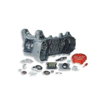 Carter motore Malossi MHR RC-One completo di accessori per gruppi termici flangiati 94 cc sugli scooter con motore Minarelli raffreddati a liquido e ruote da 12 o 13 pollici, ricambio 5716668