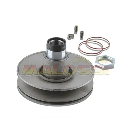 Correttore di coppia Rear pulley system Malossi, ricambio 6112110