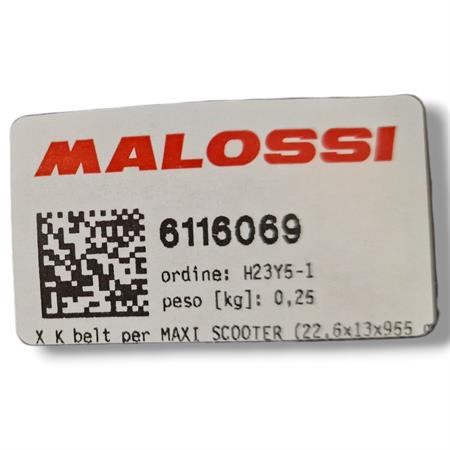 X k belt per maxi scooter (22,6x13x955 m, ricambio 6116069
