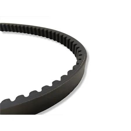 6116665 X k belt per maxi scooter (20x9,5x795,5