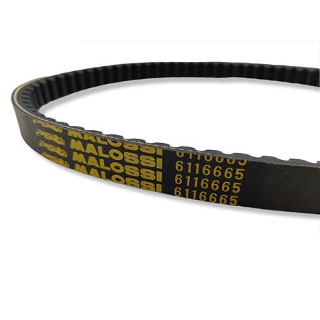 X k belt per maxi scooter (20x9,5x795,5, ricambio 6116665