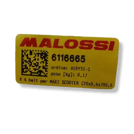 6116665 X k belt per maxi scooter (20x9,5x795,5