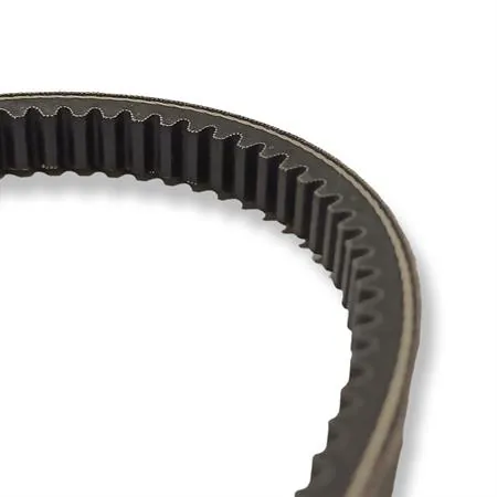 6116830 X k belt per variatore piaggio ciao  ricambio 6116830
