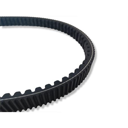 X special belt (22,6x10,6x845 mm 30 ), ricambio 6118634