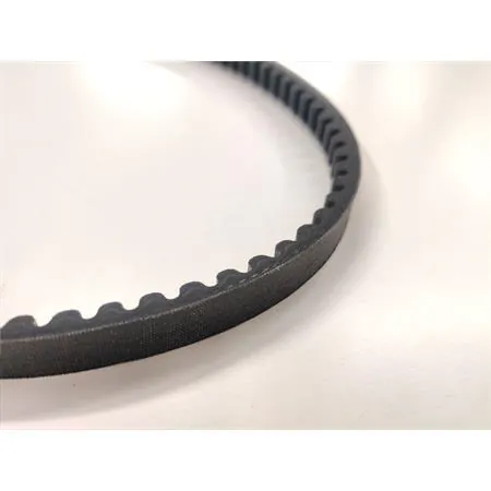 X special belt piaggio si per over range malossi (15,5x8,5x1163 mm 30 ), ricambio 6118940