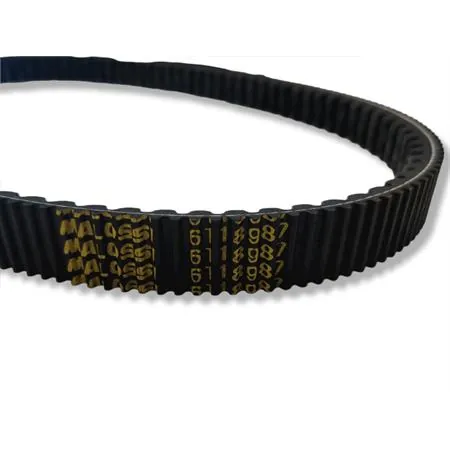 X special belt per maxiscooter (24x10,6x, ricambio 6118987