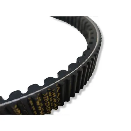 X special belt per maxiscooter (24x10,6x, ricambio 6118987