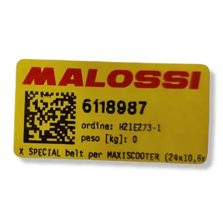 X special belt per maxiscooter (24x10,6x, ricambio 6118987