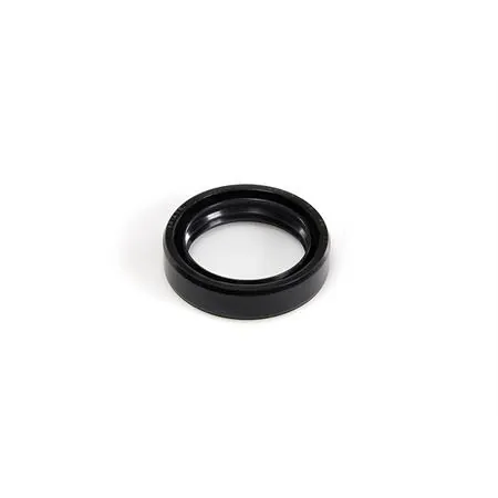 Paraolio 36x48x11 Malossi, ricambio 6611232B