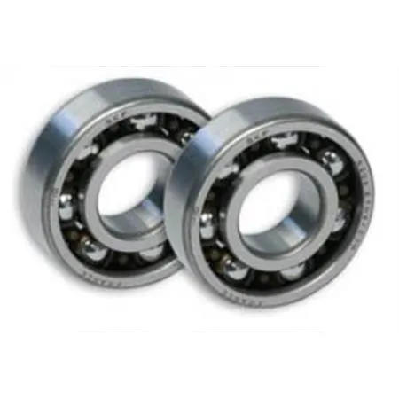 Cuscinetti banco Malossi 6204 alta velocità (coppia) per motori Minarelli, ricambio 6611566E