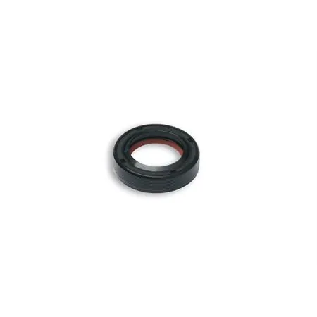 Paraolio Malossi 18x28x7 mm fkm/ptfe albero motore, ricambio 6614879B