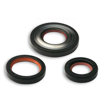 Serie paraolio fkm/ptfe per revisione ve, ricambio 6615751