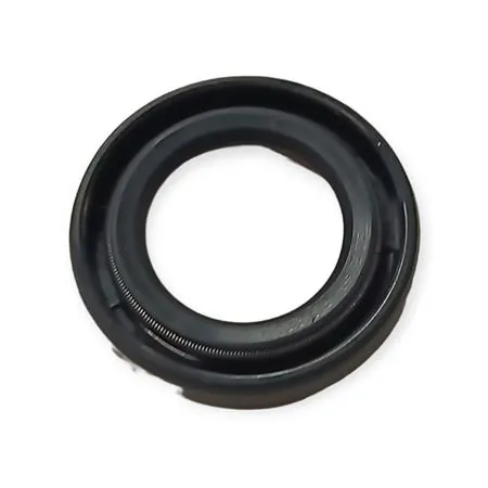 6618825B Paraolio 13,5x22x4