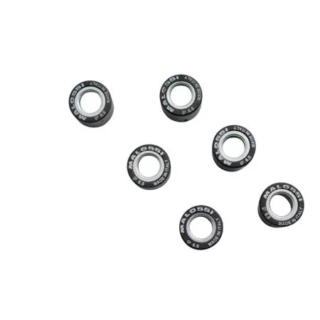 Rulli htroll Malossi diametro 15x12 grammi 06