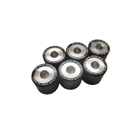 669456G0 Kit rulli variatore 6 htroll   19x17 grammi 09,3