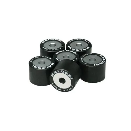 Kit rulli Malossi diametro 23x18, ricambio 669917G0