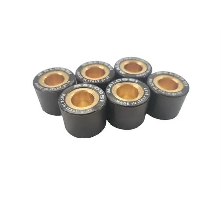 Kit rulli Malossi diametro 23x18, ricambio 669917Z0