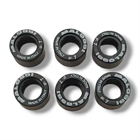 Kit rulli Malossi diametro 17x12,3  con peso da 7,0 grammi, ricambio 669999G0