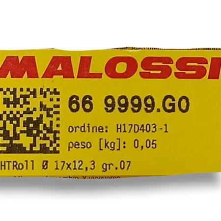 Kit rulli Malossi diametro 17x12,3  con peso da 7,0 grammi, ricambio 669999G0