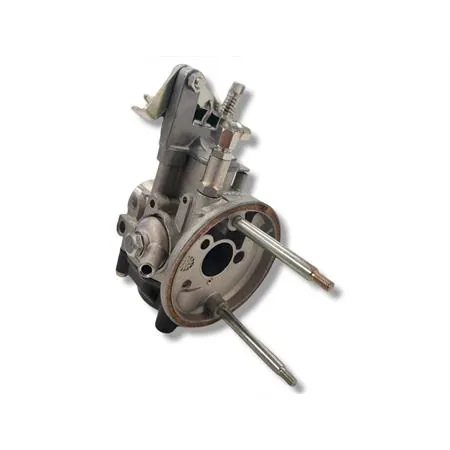 725193 Carburatore Malossi Dell'orto SHBC 19/19 con filtro E3 specifico per montaggio su Piaggio Vespa 50 special, 125 Primavera, 125 ET3