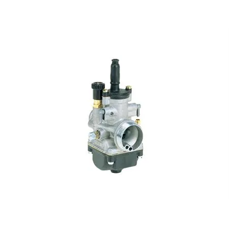 Carburatore phbg 19 ds Malossi, ricambio A02631