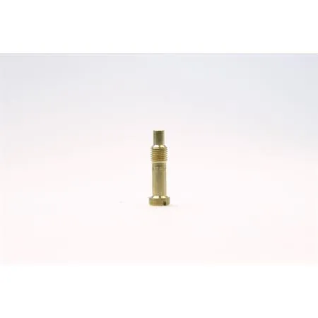 Polverizzatore av 260 Malossi, ricambio B09695260