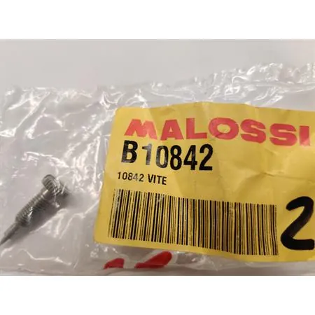 B10842 Vite Malossi