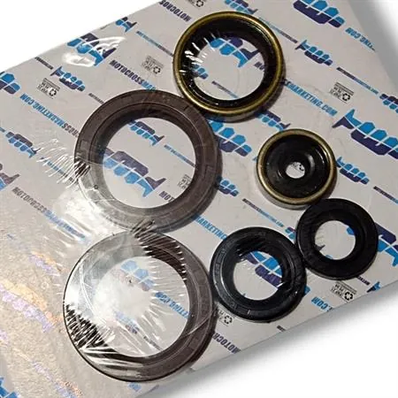 Serie paraoli motore doppio labbro SKF per Ktm EXC/SX 125 1998–2016, SX 150 2009-2015, EXC 200 2002-2016, Husqvarna TC/TE 125 2014-2016 e Husaberg TE 125 2011-2014, ricambio GU84134T