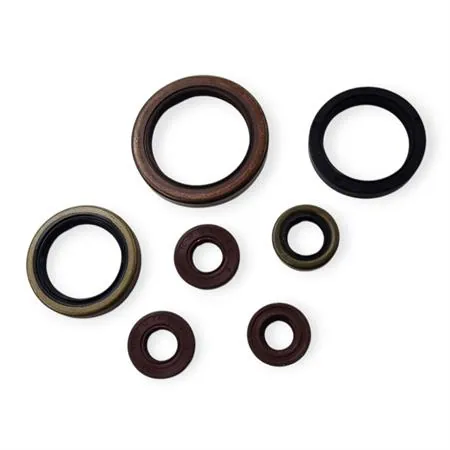 Serie paraolio motore SHERCO SE-R 250/300 2T 2014+ Motocross Marketing