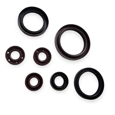 GU84710T Serie paraolio motore SHERCO SE-R 250/300 2T 2014+ Motocross Marketing