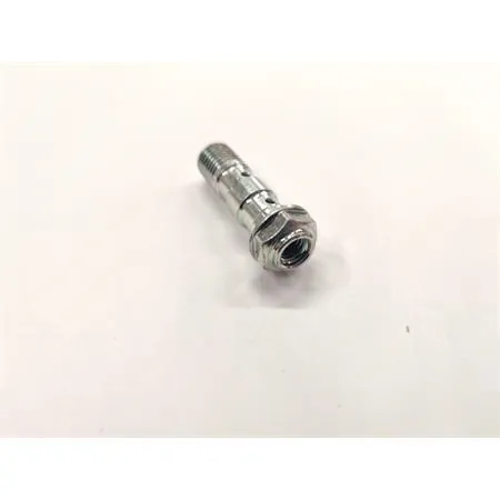 Vite fissaggio raccordi freno idraulico passo lungo per doppio raccordo con passo 10x1,25 e attacco vite spurgo in metallo lucido, ricambio 06GS2365