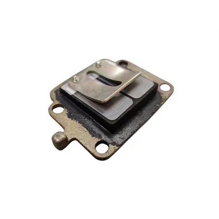 Pacco lamellare completo (Olympia) per minarelli verticale, ricambio 55653