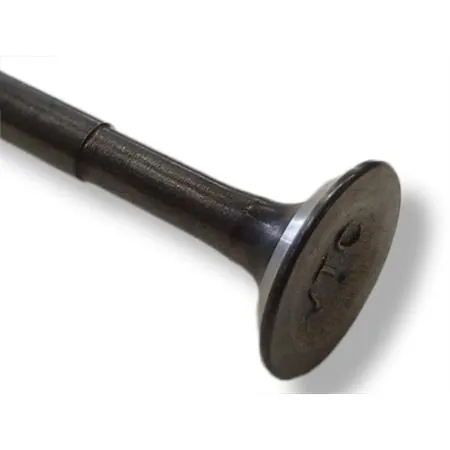 00102680 Valvola scarico