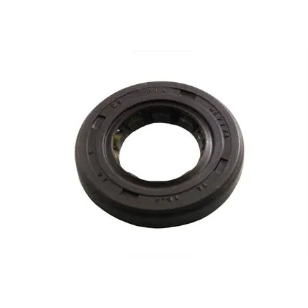 00104641 Paraolio 16.4x30 x05  7174