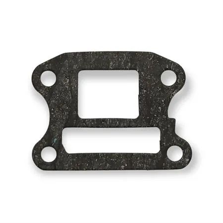 00109111 Guarnizione A ammissione