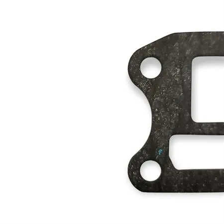 00109111 Guarnizione A ammissione