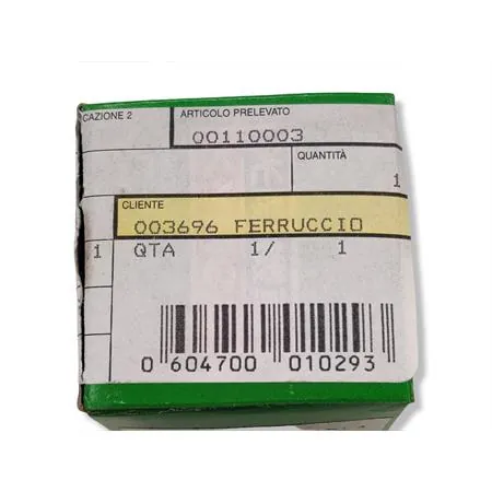 00110003 Pistone