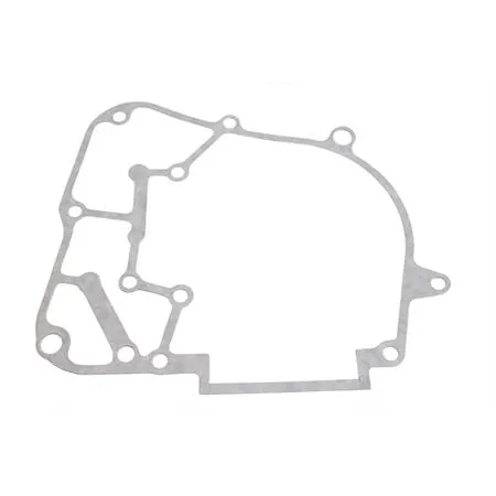 Guarnizione blocco motore, ricambio 00111251