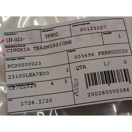 00123257 Cinghia trasmissione